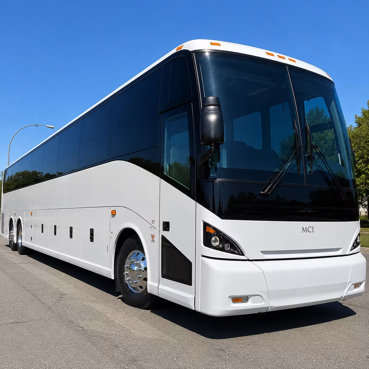one search for your bellingham group trip