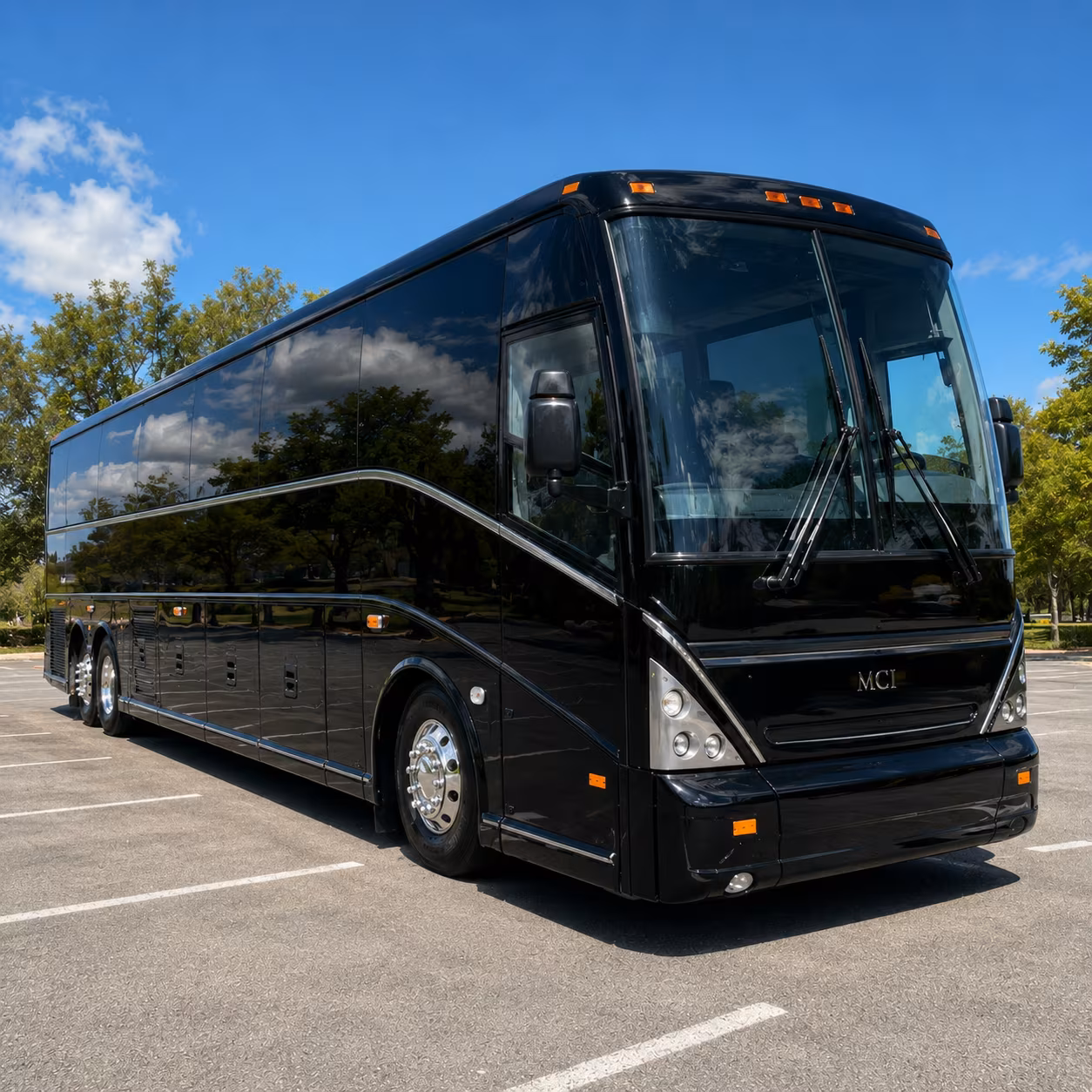 tulip festival and skagit valley group shuttle service